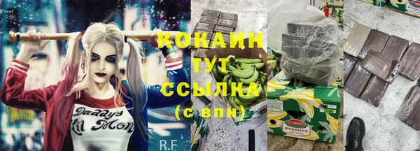 индика Нефтегорск