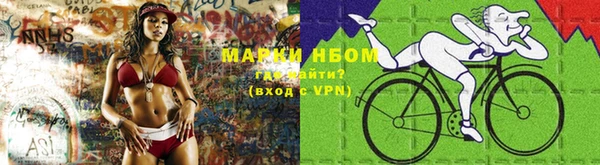 индика Абинск