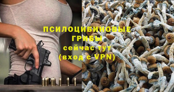 спайс Алексин