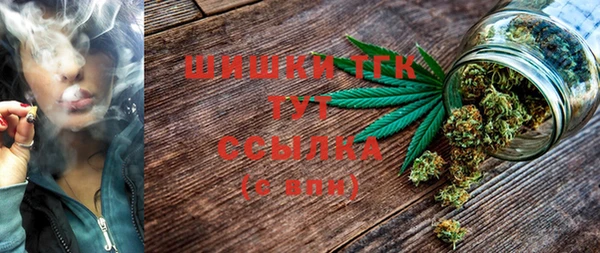 спайс Алексин