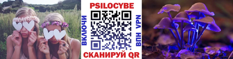 KRAKEN ссылки  Нолинск  нарко площадка какой сайт  что такое наркотик  Галлюциногенные грибы Magic Shrooms 